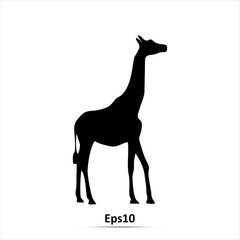 Vector illustration of a black silhouette giraffe. Isolated white background. Icon giraffe side view profile.