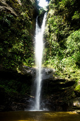 Fototapeta na wymiar river jungle trees nature waterfall water forest 