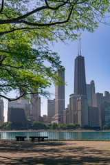 Fototapeta premium Chicago Skyline framed by a tree at Milton Lee Olive Park with Benches