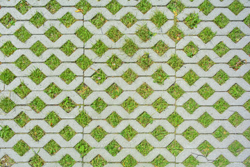 Geometric background of eco floor bricks and green grass. Eco parking texture