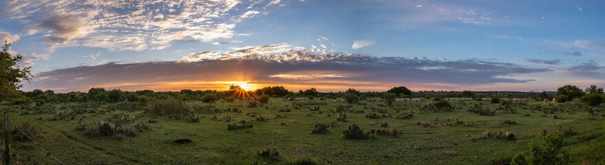 Sunrise over a Texan cactus filled field