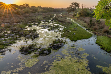 Sunrise over a Texas country stream filled with alge and moss
