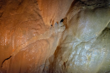 Cathedral Cavern State Park near Guntersville, Alabama, USA
