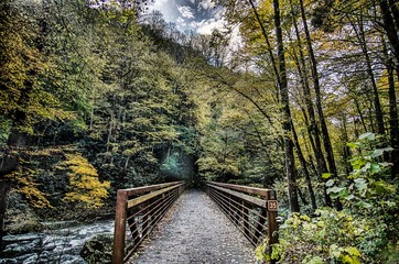 Scenic views along virginia creeper trail