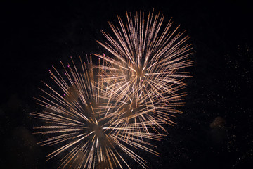 firework explosion color  golden celebration