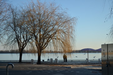 Lovers at Toronto's harbour bay's by the sunset