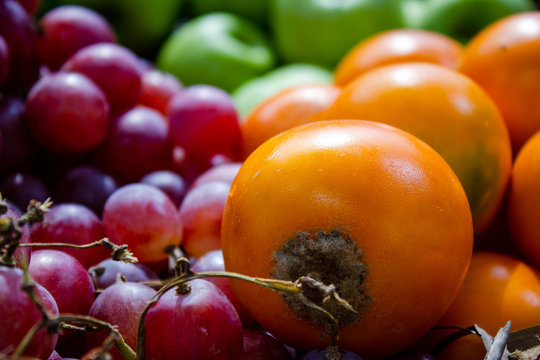 Frutas Tropicales De Colombia Medellín Antioquia