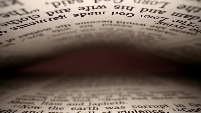 Slowly pulling lens out of a book at a words eye view of the pages, pages on both top & bottom of viewpoint;
shallow focus, opening at very end is a dim pink hue and then fades to black.