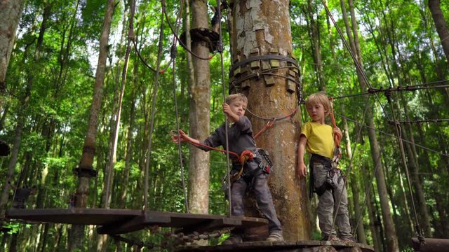 Two little boys in a safety harness climb on a route in a forest adventure park. They climb on high rope trail. Outdoor amusement center with climbing activities consisting of zip lines and all sorts