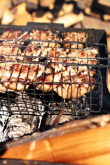 grilled meat 