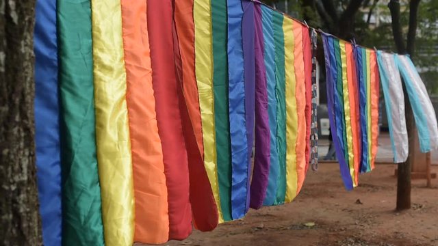 Slow motion shot of Pride flahgs