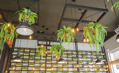 vintage light bulb interior with hanging fern pot in cafe for decoration