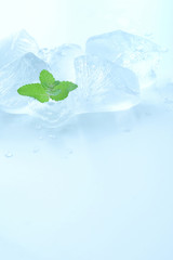 氷　ミントの葉