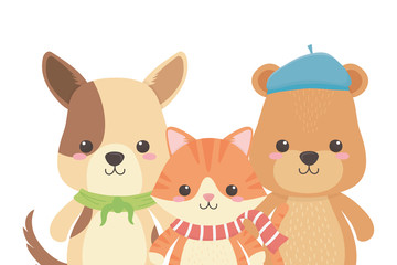 Cat dog and bear cartoon design