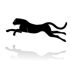 Leopard Silhouette Isolated on White Background