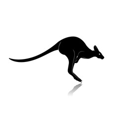 Kangaroo Silhouette Isolated on White Background