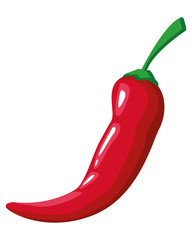 mexican food and tradicional culture