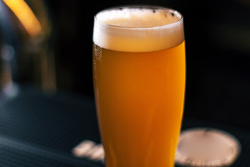 glass od light craft beer on wooden table