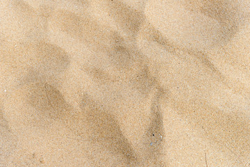 Fototapeta na wymiar Yellow sand texture on the beach. natural background for summer concept