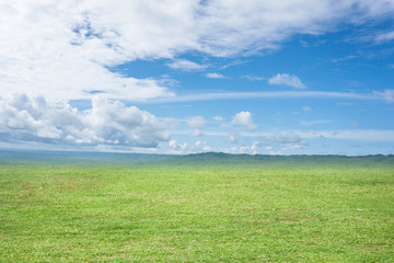 Fototapeta na wymiar Sky and grass background, fresh green fields under the blue sky in spring