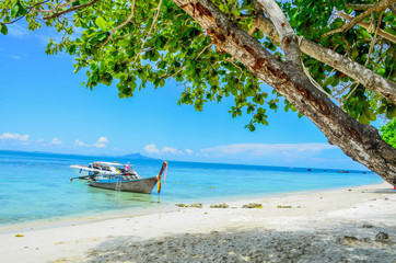 Amazing sandy tropical beach with tree in crystal clear sea and ship