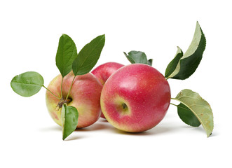 Red apples isolated on white background