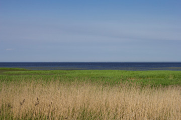 on the gulf of finland