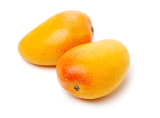 Mango on a white background