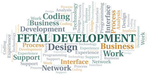 Fototapeta premium Fetal Development word cloud. Wordcloud made with text only.