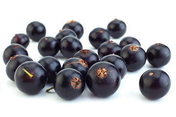 Black currant berries closeup