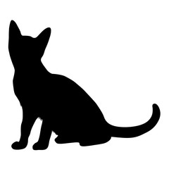 Abyssinian Cat Silhouette Isolated On White