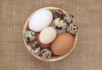 Quail, chicken and duck eggs in wooden bowl on burlap background