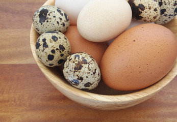 Quail, chicken and duck eggs in bowl close up