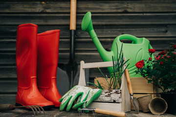 Shovel, watering can, hat, rubber boots, box of flowers, gloves and garden tools