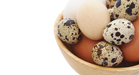 Many different eggs in wooden bowl isolated with room for text