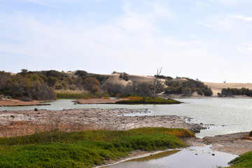 Maspalomas lagoon and dune Maspalomas