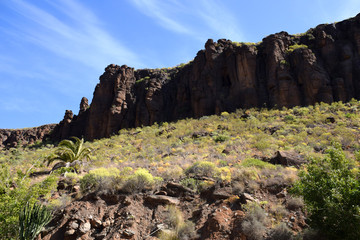 Los Palmitos  mountains Gran Canaria