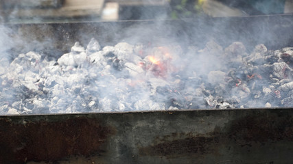 Meat cooks on hot coals in the smoke. Pork. Picnic in nature.