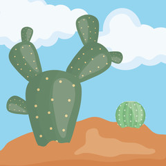 exotic cactus plants in the desert