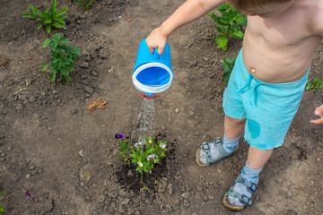 a little boy watering the flowers in the garden