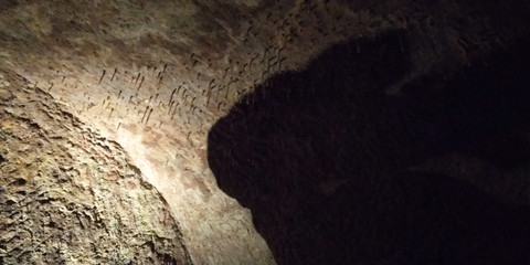 Textura rocosa de la pared de una cueva.