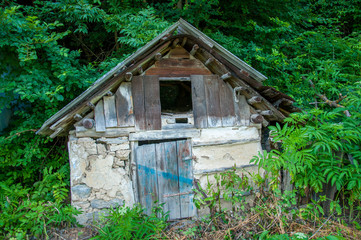 Fototapeta na wymiar old little house with a wooden roof. In the forest near green trees. Summer