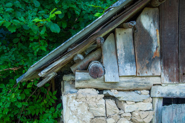 old little house with a wooden roof. In the forest near green trees. Summer