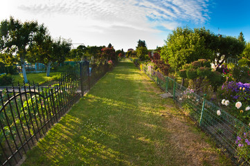 Obraz premium Communal garden in Poland, wide angle fish eye view.