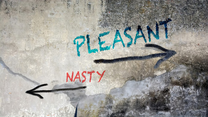 Wall Graffiti Pleasant versus Nasty