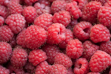 Fresh and sweet raspberries