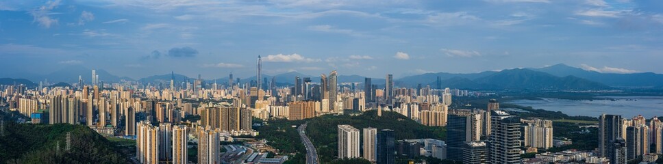 Shenzhen Futian District City Buildings Skyline Scenery