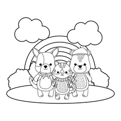 Cat dog and bear cartoon design