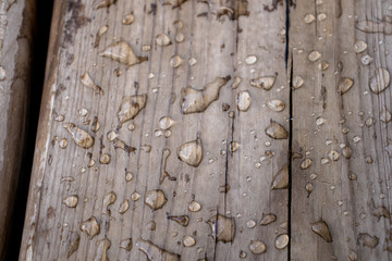 spooted wood water drops