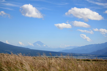 青空と富士山をバックに揺れるススキ